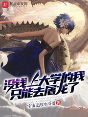 篮坛紫锋