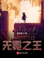 赛博朋克2077之无冕之王