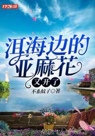 洱海边的亚麻花又开了