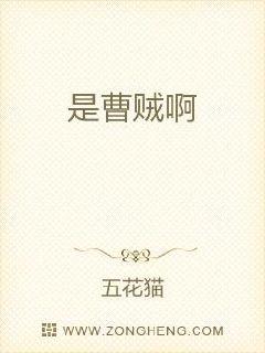 是曹贼啊