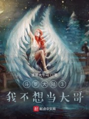 斗罗大陆3：我不想当大哥