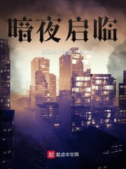暗夜启临