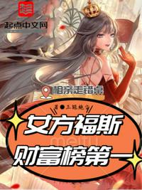 我在明末有支无敌军团