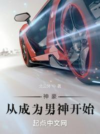 完美之双重卧底白夜