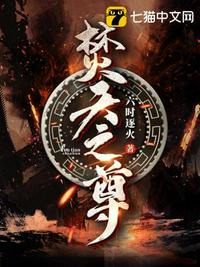 网游之猎魔术士