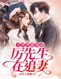 接受封印吧，仙子