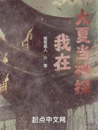 《我在大夏当神探》