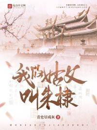 《我的姑父叫朱棣》